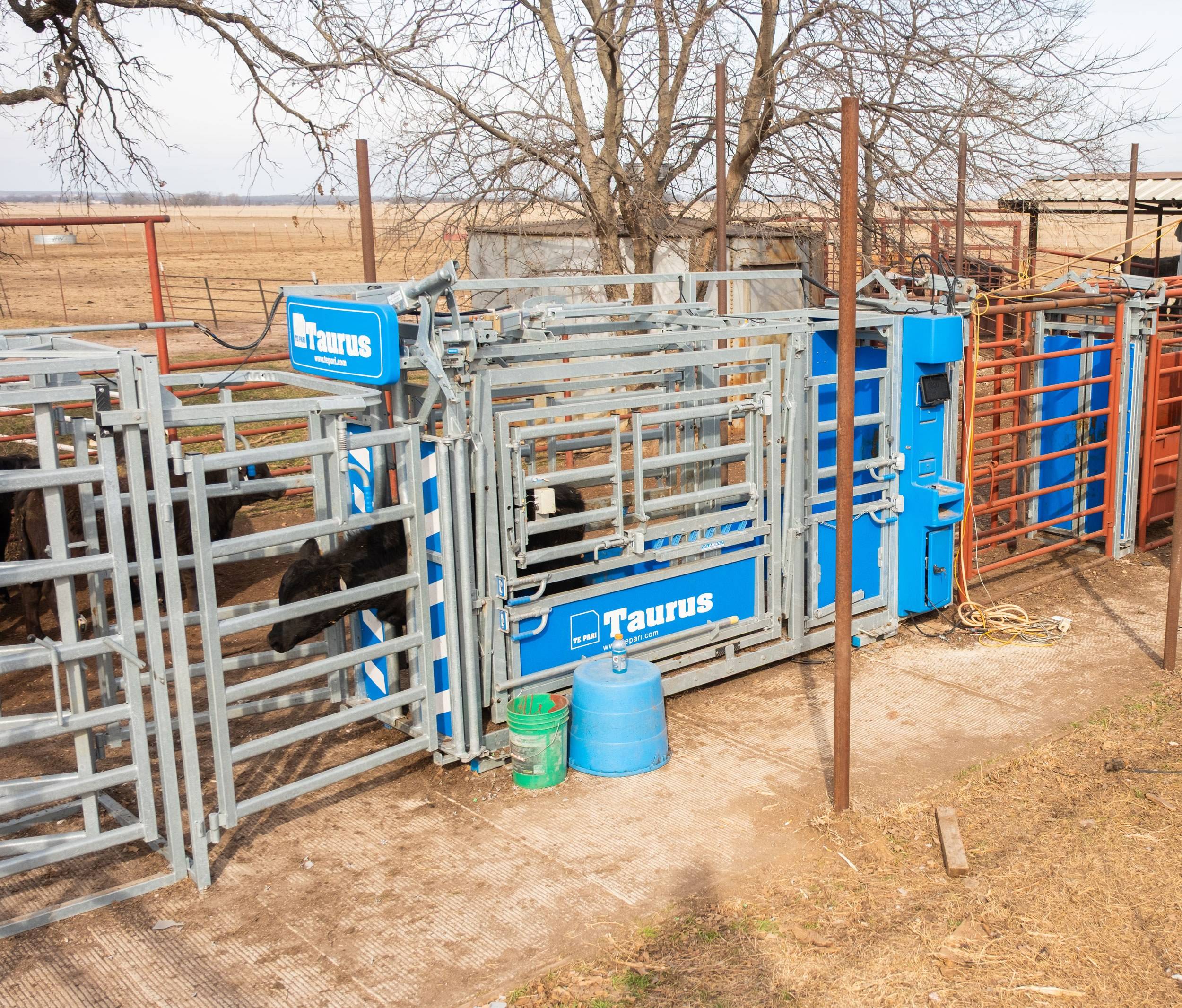 Taurus USA Mike Faulkner 01