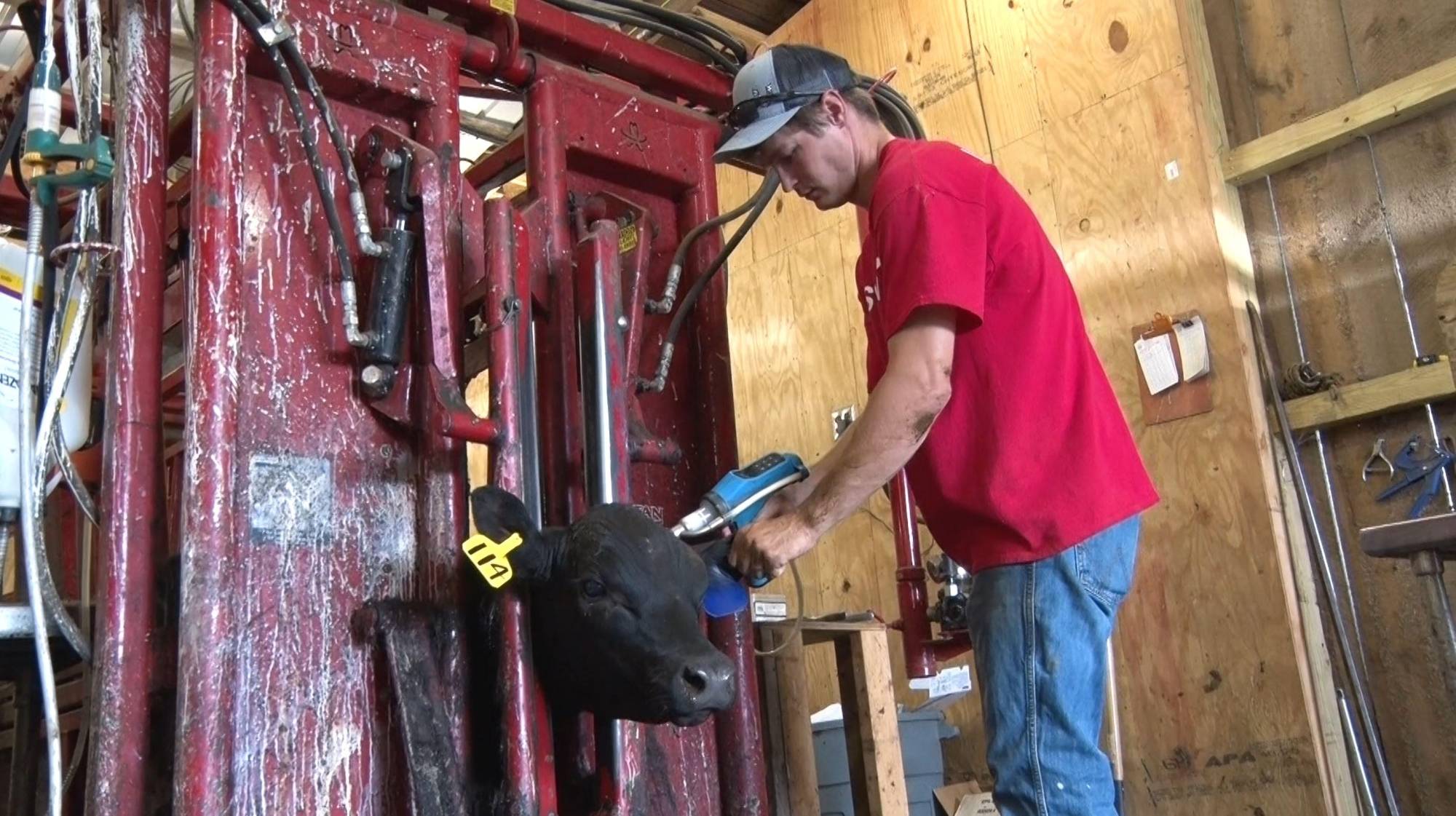 Seth Baker Dosing Gun Video Thumbnail