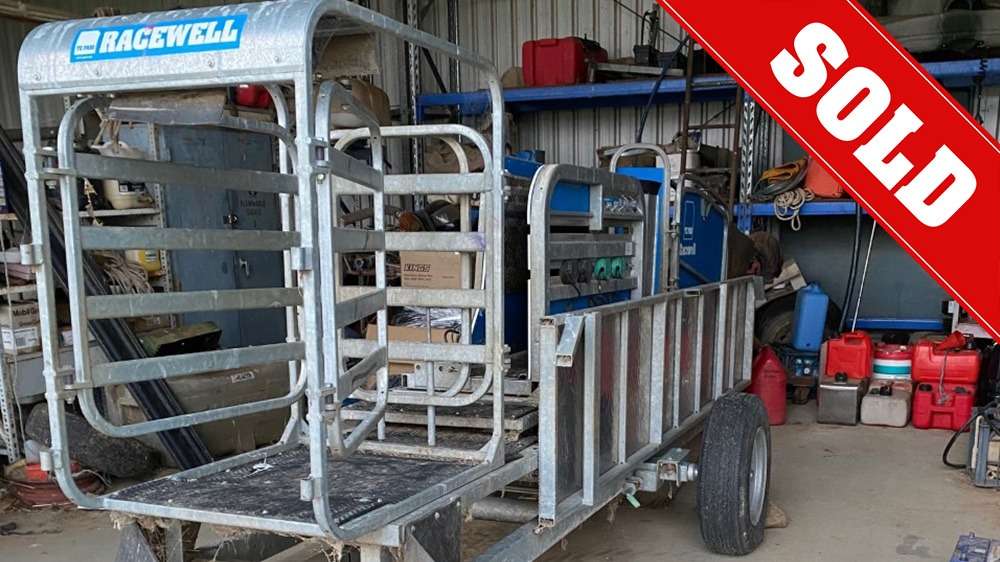 Used Racewell HD3 Sheep Handler