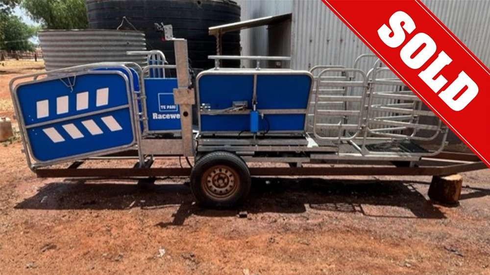 Used Racewell HD3 Sheep Handler