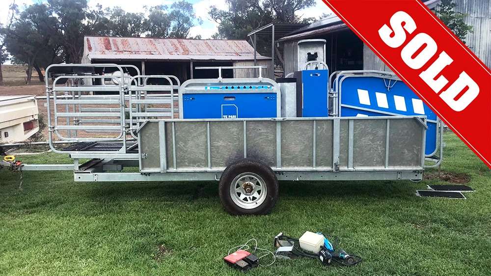 Used Racewell HD3 Sheep Handler