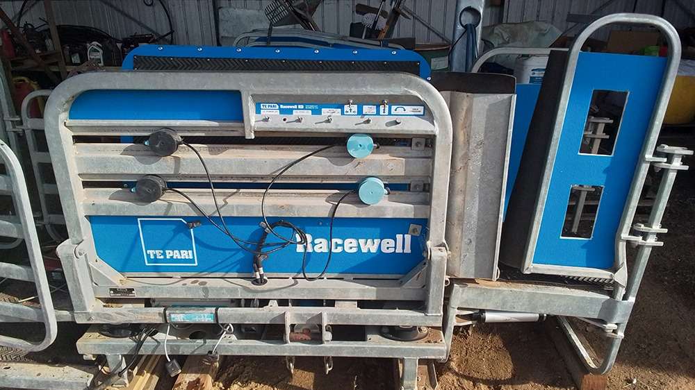 Used Racewell HD3 Sheep Handler