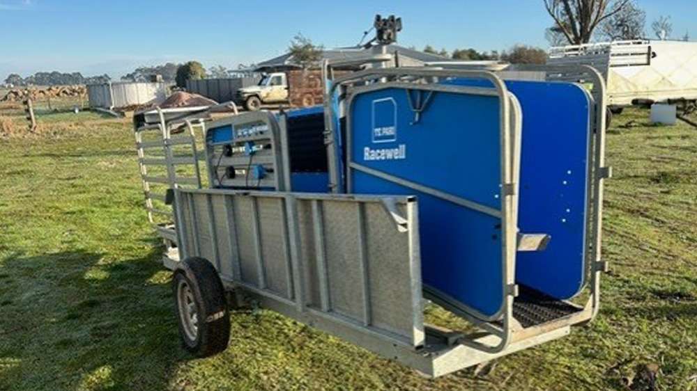 Used Racewell HD3 Sheep Handler