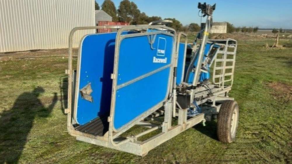 Used Racewell HD3 Sheep Handler