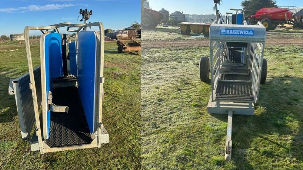 Used Racewell HD3 Sheep Handler