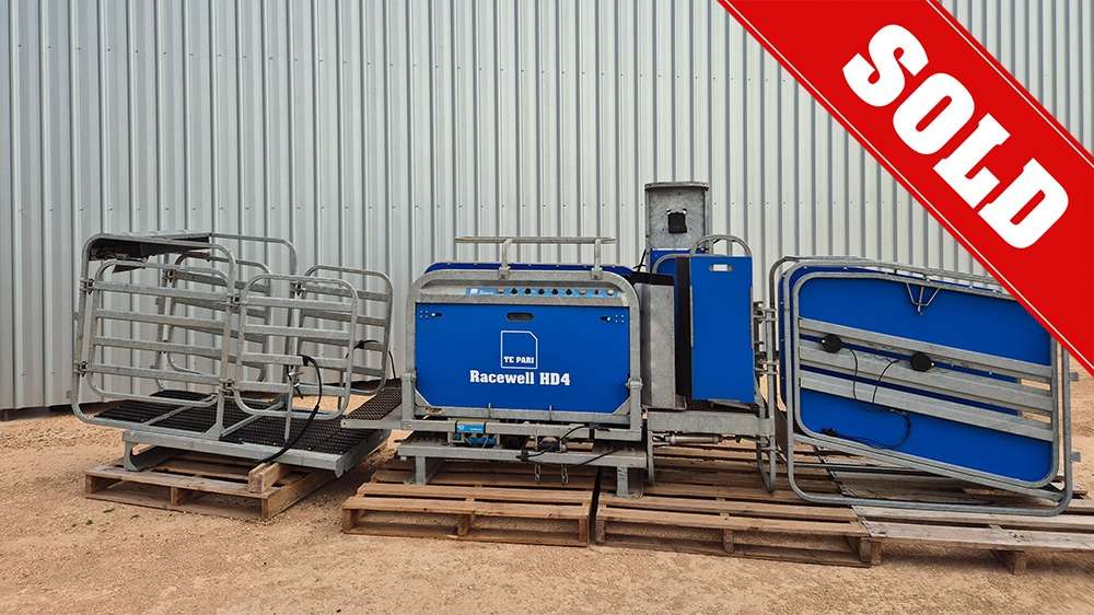 Used Racewell HD4 Sheep Handler