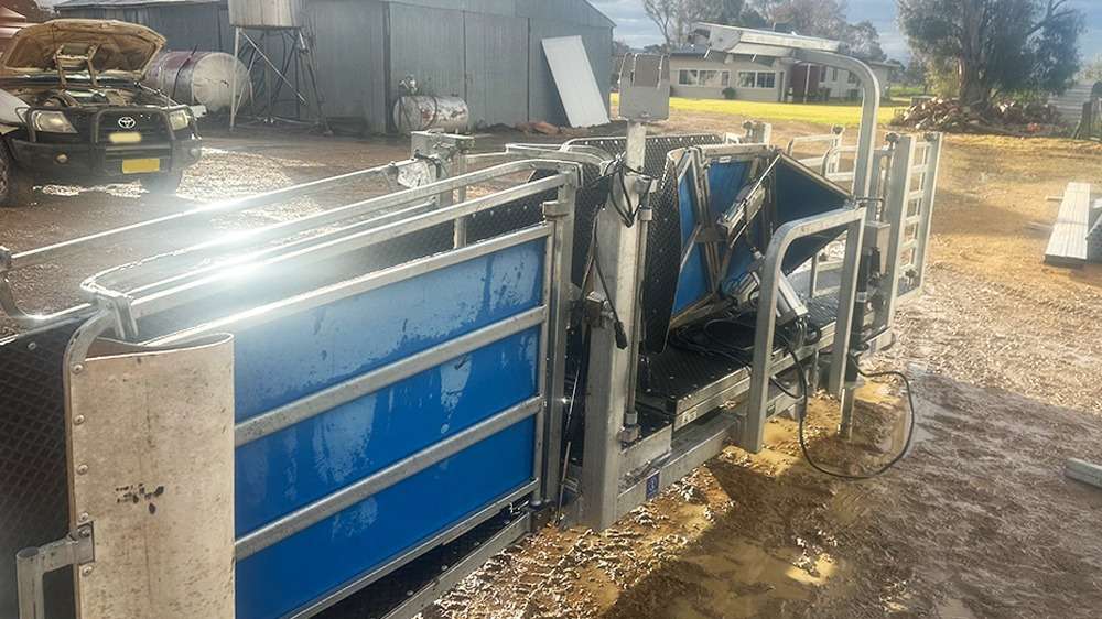 Used Clipex Sheep Handler