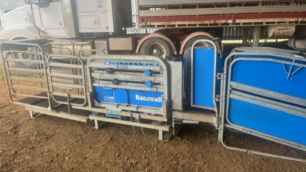 Used Racewell HD4 Sheep Handler