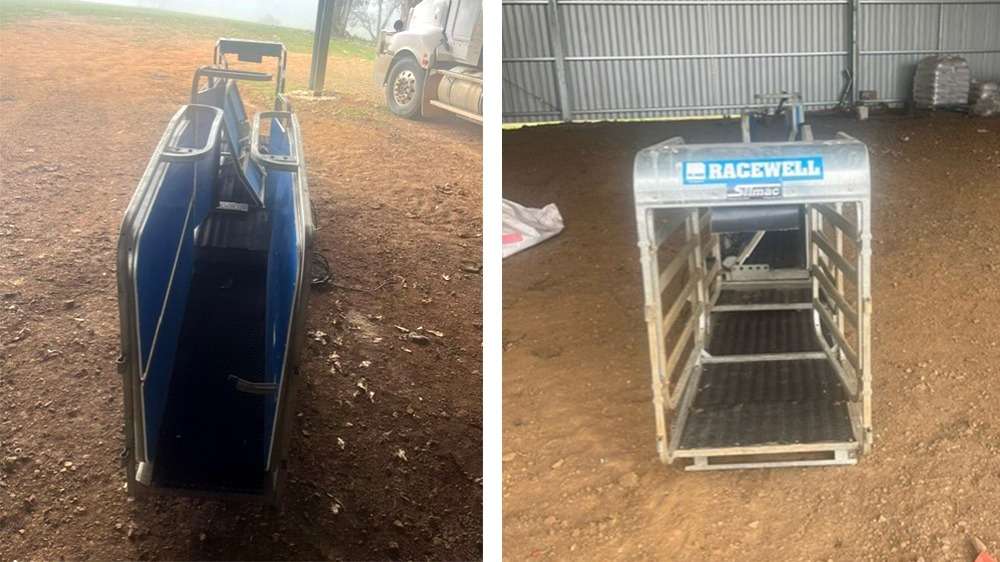 Used Racewell HD4 Sheep Handler