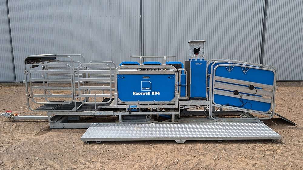 Used Racewell HD4 Sheep Handler