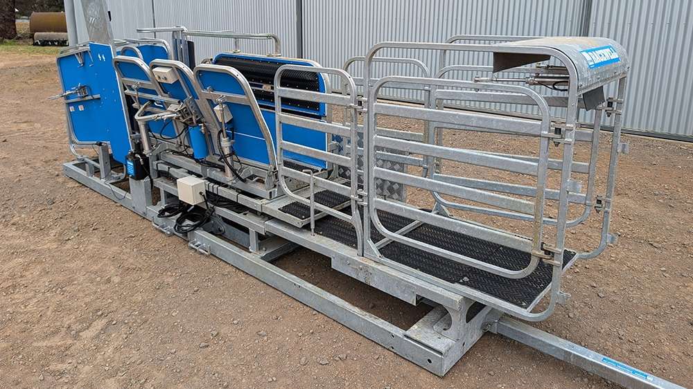 Used Racewell HD4 Sheep Handler