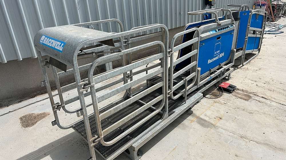 Used Racewell HD4 Sheep Handler