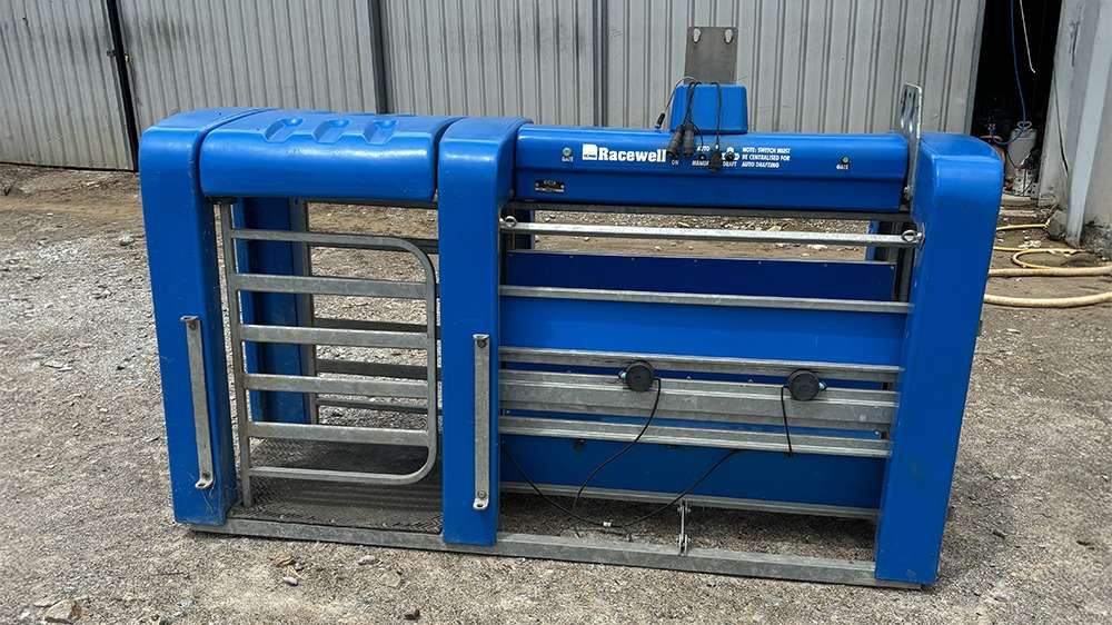 Used Racewell DR3 Auto Sheep Drafter