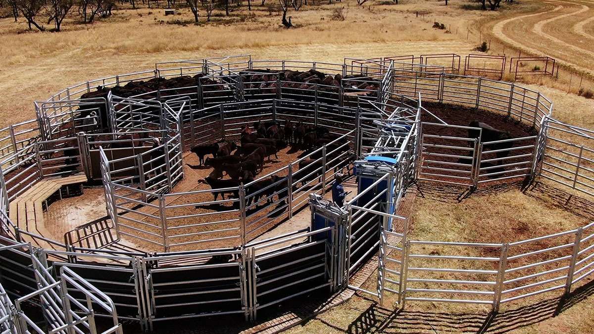 Craig Barnes Cattle Yards, South Australia