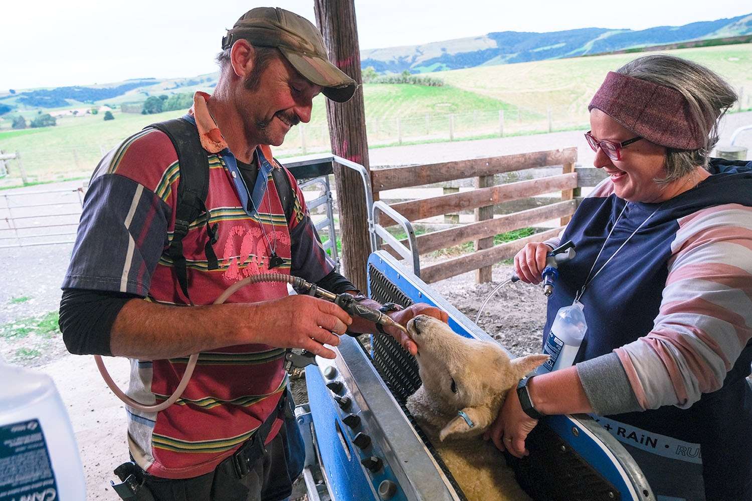 Taking the handling out of sheep work