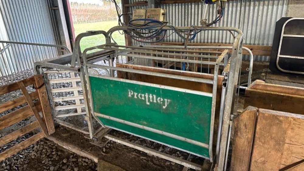 Used Prattley 3-Way Auto Sheep Drafter