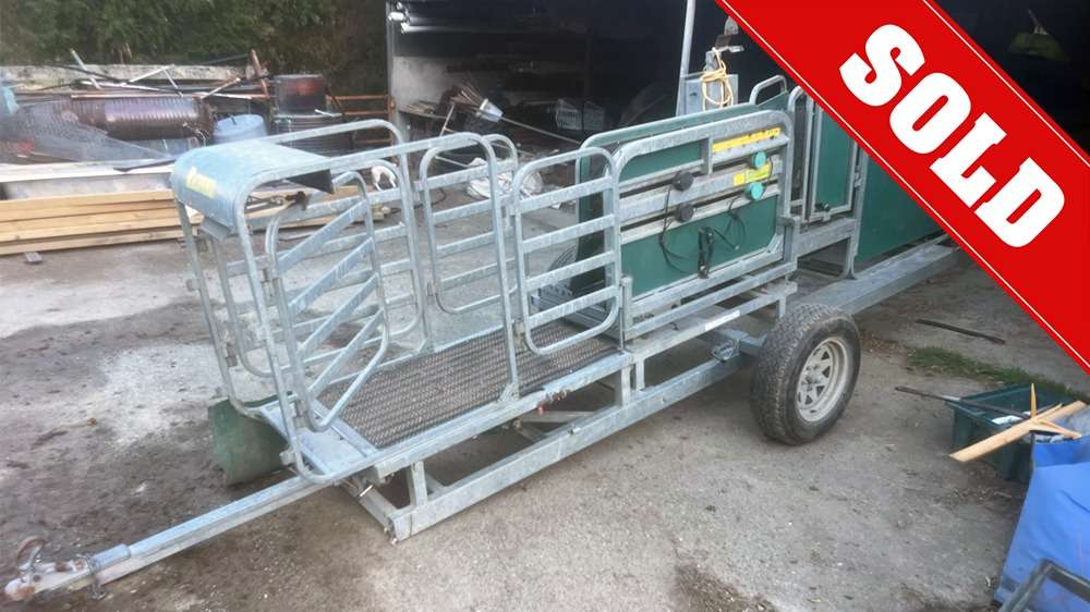 Used Racewell HD3 Sheep Handler