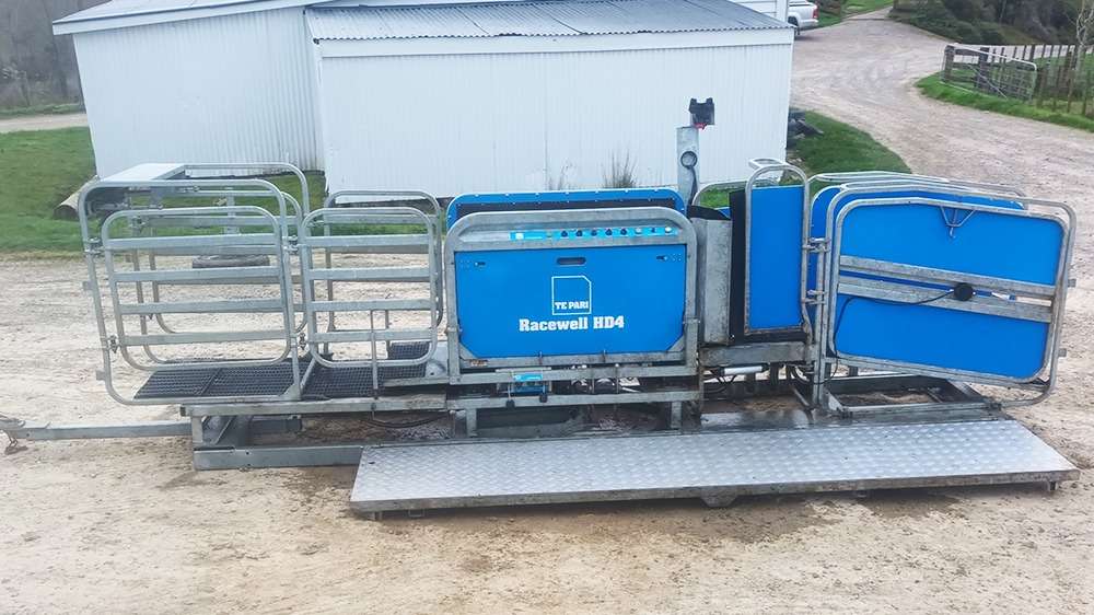 Used Racewell HD4 Sheep Handler