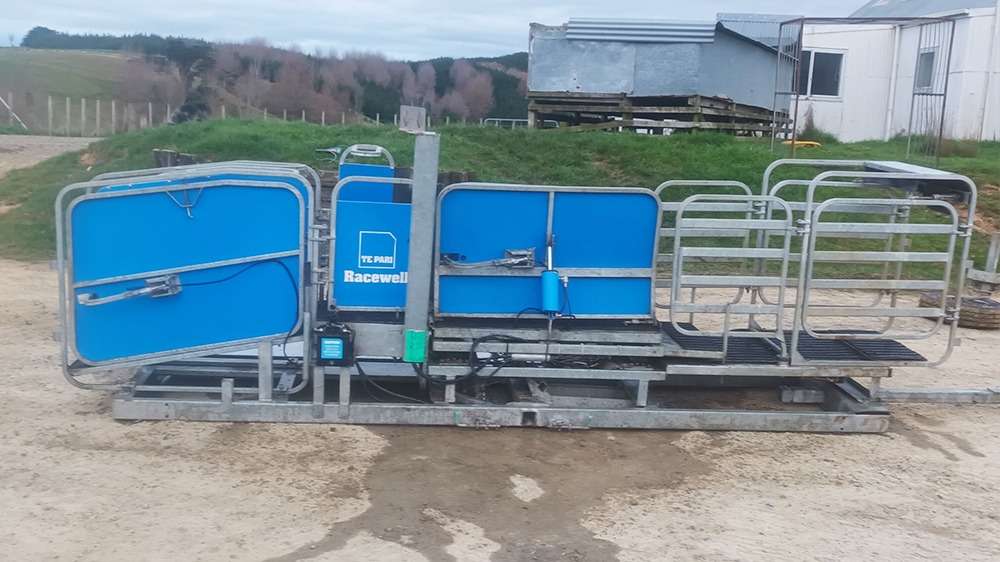 Used Racewell HD4 Sheep Handler