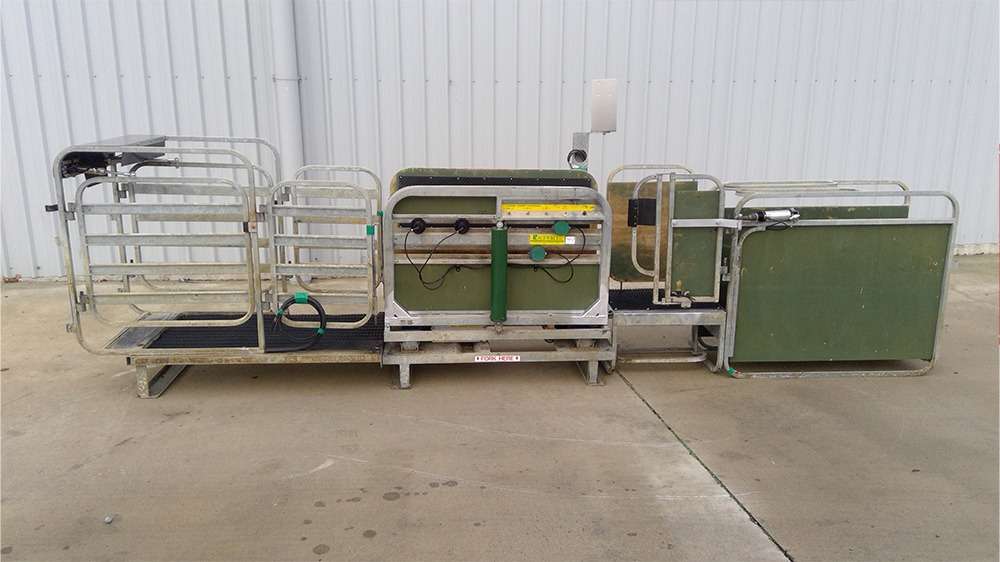 Used Racewell HD3 Sheep Handler