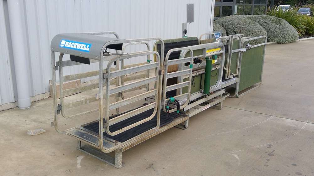 Used Racewell HD3 Sheep Handler