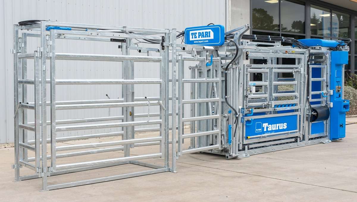 Introducing the New Auto-Catch Hydraulic Cattle Crush