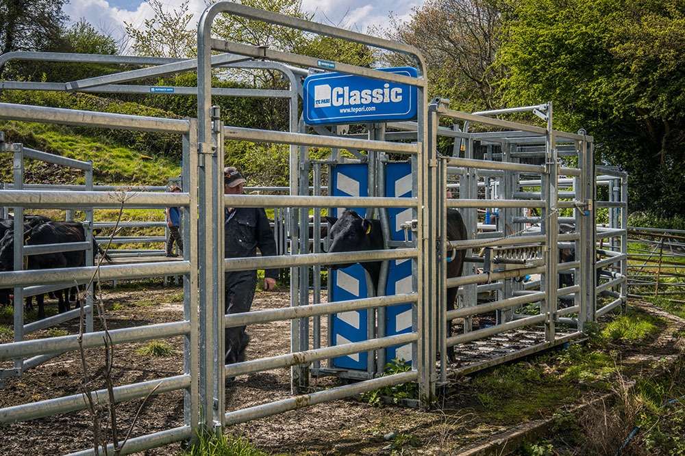 Improving livestock handling in England