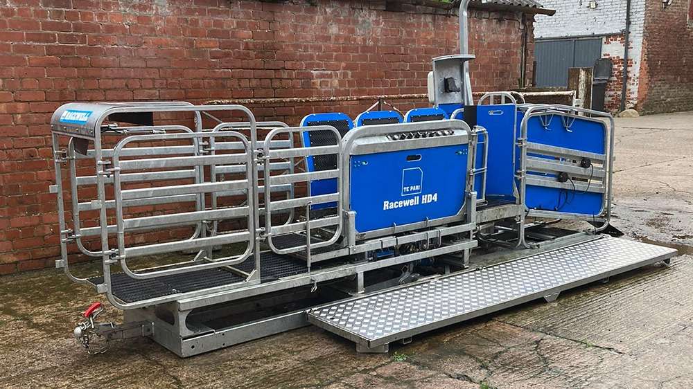 Used Racewell HD4 Sheep Handler