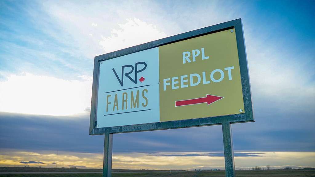 VRP Farms Feedlot, Canada